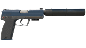 Guardian image