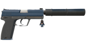 Guardian image