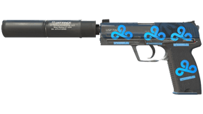 Guardian image