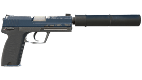 Guardian image