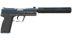 Guardian image
