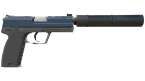 Guardian image