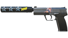 Stainless image