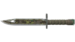 Boreal Forest image
