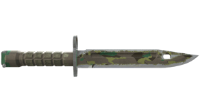 Boreal Forest image