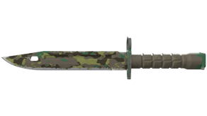 Boreal Forest image