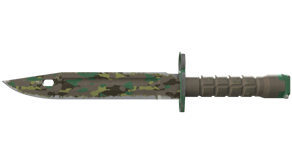 Boreal Forest image