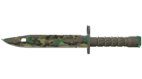 Boreal Forest image