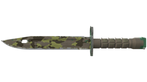 Boreal Forest image