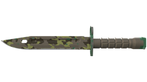 Boreal Forest image