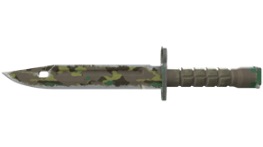 Boreal Forest image
