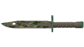 Boreal Forest image