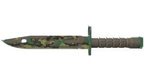 Boreal Forest image