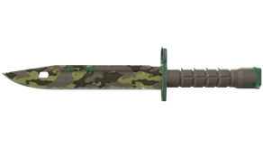 Boreal Forest image