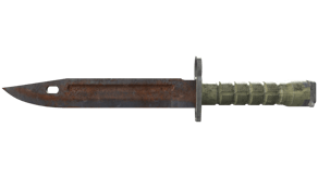 Rust Coat image