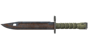 Rust Coat image