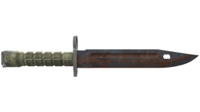Rust Coat image
