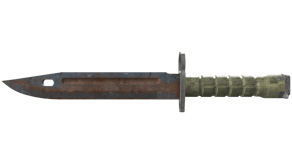 Rust Coat image