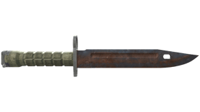 Rust Coat image