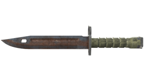 Rust Coat image