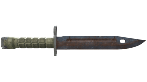 Rust Coat image