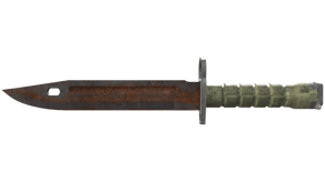 Rust Coat image
