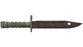 Rust Coat image