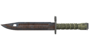 Rust Coat image