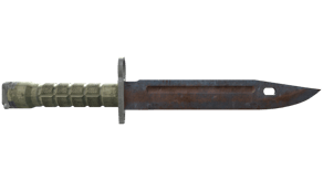 Rust Coat image