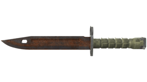 Rust Coat image