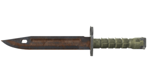 Rust Coat image
