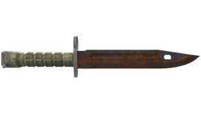 Rust Coat image