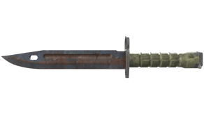 Rust Coat image