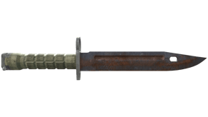 Rust Coat image