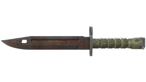 Rust Coat image