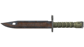 Rust Coat image
