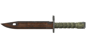 Rust Coat image