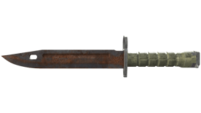 Rust Coat image