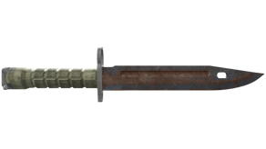 Rust Coat image