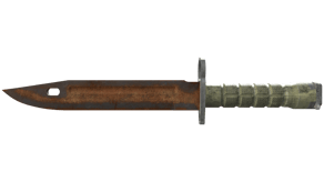 Rust Coat image