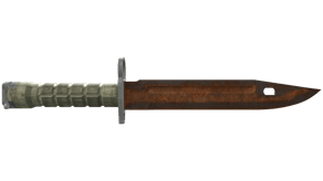 Rust Coat image