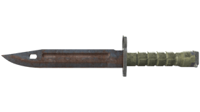 Rust Coat image