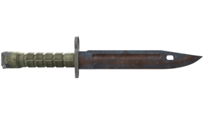 Rust Coat image