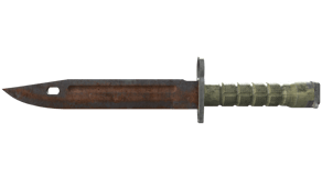 Rust Coat image