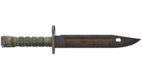 Rust Coat image
