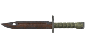 Rust Coat image