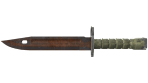 Rust Coat image