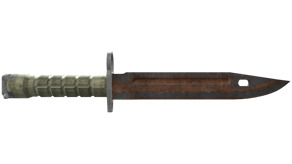 Rust Coat image