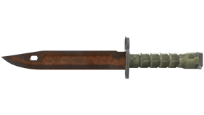 Rust Coat image