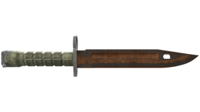 Rust Coat image